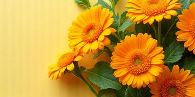 Close-up of vibrant calendula flowers